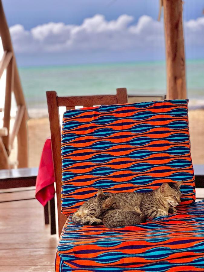 Jambiani White Sands Bungalows Bagian luar foto