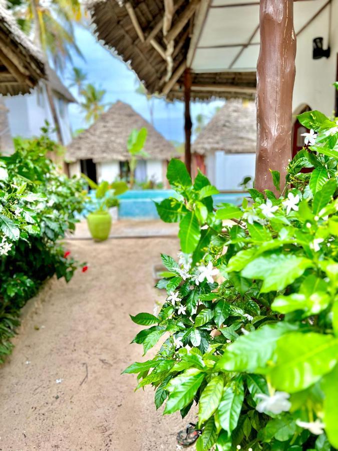 Jambiani White Sands Bungalows Bagian luar foto